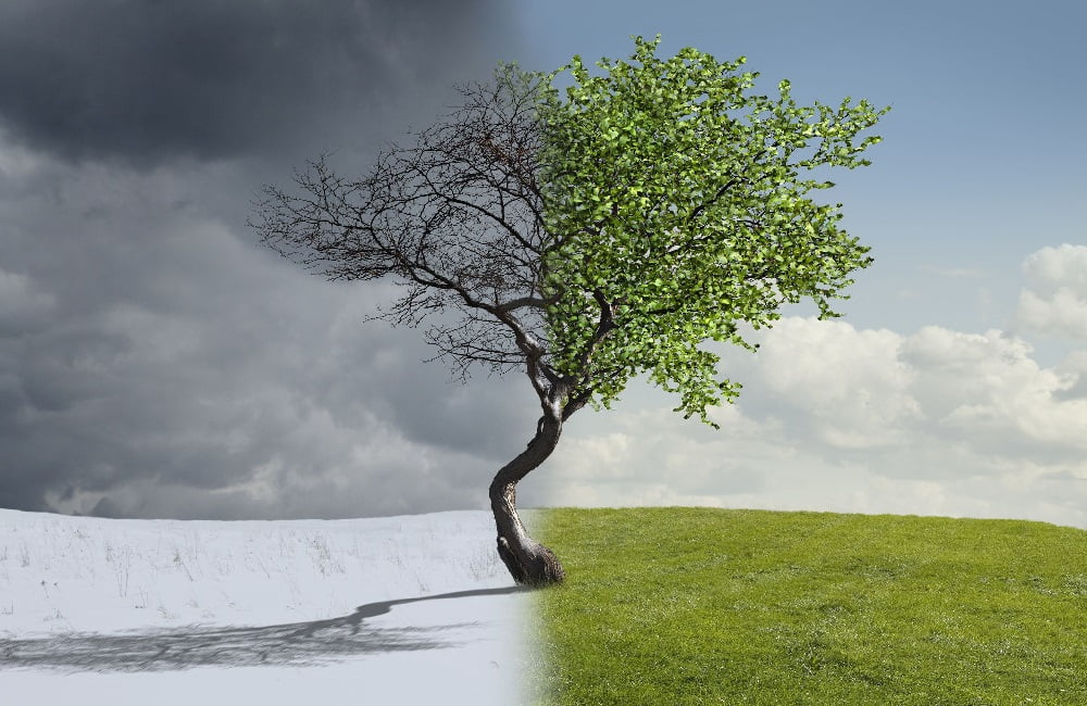 What are the Elements of Weather and Climate? Elements of Weather and Climate